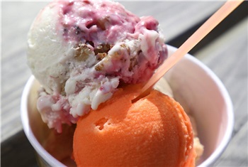 Ijsboerderijentocht / Ice-cream ride